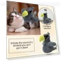 Electric Smart Pet Cat Toy — Interactive Animal Companions, Smarrt home