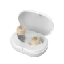 Magnetic Rechargeable Hearing Aids for Elderly, Holland Ham