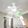 Smart LED Ceiling Fan with Remote Control, TOP-MALL-001