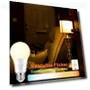 Smart Light Bulb with Remote Control — LED, GRV