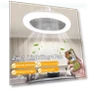 Smart Ceiling Fan with LED Light — Ceiling Fan Lighting Solutions, JUDING