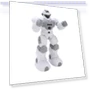 RC Robot Toy — Interactive Figures & Robots, Sport2ZY