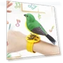 Interactive Toy Bird with Sound and Motion Control — Interactive Learning Devices, Zhonghefu