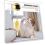 Electric Cat Toy with Feathers — Cat Playthings, Pet park