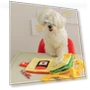 Interactive Dog Toy with Sound and Hidden Treat — Toys