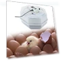 Smart Automatic Egg Incubator — Egg Trays, Colorful summer