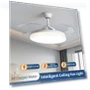 Smart Ceiling Fan with Light — Ceiling Fan Lighting Solutions, Crown Global