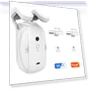 Smart WiFi Curtain Motor — Smart Home Hubs & Controllers, Tuya