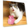 Electric Moving Mouse Toy for Cats — Mice & Animals, Pet park