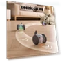 Interactive Smart Toy for Cats — Cat Playthings, Pet park