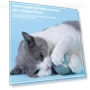 Interactive Smart Toy for Cats — Cat Playthings, Pet park