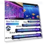 Aquarium Aerator with Bubbles — Coral Decor, JNchenzhi