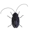 Educational Solar-Powered Cockroach Robot Toy, Ice Beauty