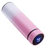 Vacuum Insulated Water Bottle with LED Temperature Display — Smart Water Bottle, Listing stainless utensil