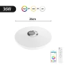 RGB Ceiling Light — LED Strip Lights, Rainbow Rain