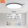 Smart Ceiling Light Remote Control — Smart Light Bulb, Rainbow Rain