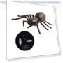 Remote Control Spider Toy — Remote Control Aircraft, Yixhan