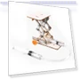 Electric Crawling Robot DIY Kit — Science Kits, Super Star Mall