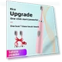 Electric Toothbrush — Electric Toothbrush Heads, Binchi Health Technology