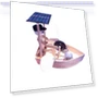 Solar Rowboat Robots — Solar Power, Hong Rose