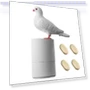 Automatic Soap Dispenser — Care Dispensers, Pavo