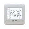 Digital Temperature Regulator with Touch Screen — Smart Thermostat, Ketotek