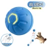 Interactive Jumping Ball for Cats — Automatic Cat Toy, JUN JUN
