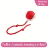 Interactive Ball Toy for Cats, The best future