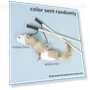 Funny Kitten Teaser Wand — Cat Playthings, Smart Pet Supplies