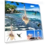 Smart Bird Feeder — Backyard Birding, Excellent stuff