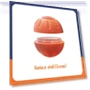 Smart Toy Ball for Dogs — Interactive Animal Companions, BC Pet Supplies