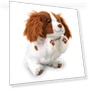 High Five Upside Down Showtime Moving Plush Toy Dog Robot — Interactive, AGATSUMA