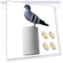 Automatic Soap Dispenser in Dove Shape — Care Dispensers, HOUSELY