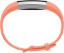 Fitness Activity Tracker, Large discount