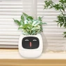 Smart Flower Pot with Robot Navigator, HappyToy