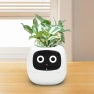 Smart Flower Pot, HappyToy