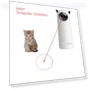Automatic Laser Cat Toy — Cat Playthings, PetGuider