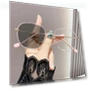 Fashionable Street Smart Sunglasses — Eyewear Collection, Exquisite glasses