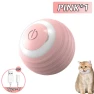 Interactive Cat Ball — Automatic Cat Toy, Photography