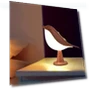 LED Night Light — Night Lights, ZCHUA