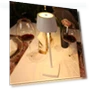 Decorative Rechargeable LED Table Night Lights — Desk & Table Lighting, Zhou Yajin