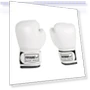 Smart Musical Boxing Trainer — Boxing Training Gear, Homedepot