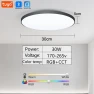 Smart Bluetooth LED Round Ceiling Light — Smart Light Bulb, Rainbow Rain