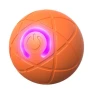 LED Light-Up Pet Bouncing Ball — Balls, Magic Kitchen
