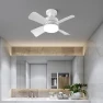 3-in-1 Ceiling Fan Light with Remote Control, Build My Home