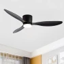 Modern Silent Ceiling Fan with Light, Luminaire Lighting Mall