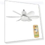 Smart LED Ceiling Fan with Light — Ceiling Fan Wall Controls, Build My Home