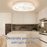 Modern Smart Ceiling Light with Fan — Smart Fan, Seahorse Home