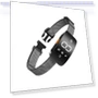 Anti-Bark Collar for Medium and Large Dogs — Anti-Bark Training Devices, Seahorse Home
