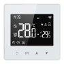 WiFi Thermostat for Gas Boiler — Smart Thermostat, Seahorse Home